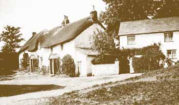 Cottages in Lower Village circa 1910.